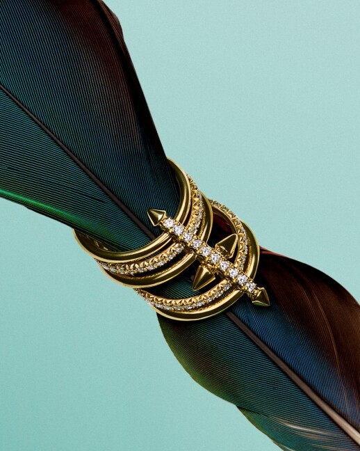 Tiffany & Co. Introduces the Tiffany Titan by Pharrell Williams ...