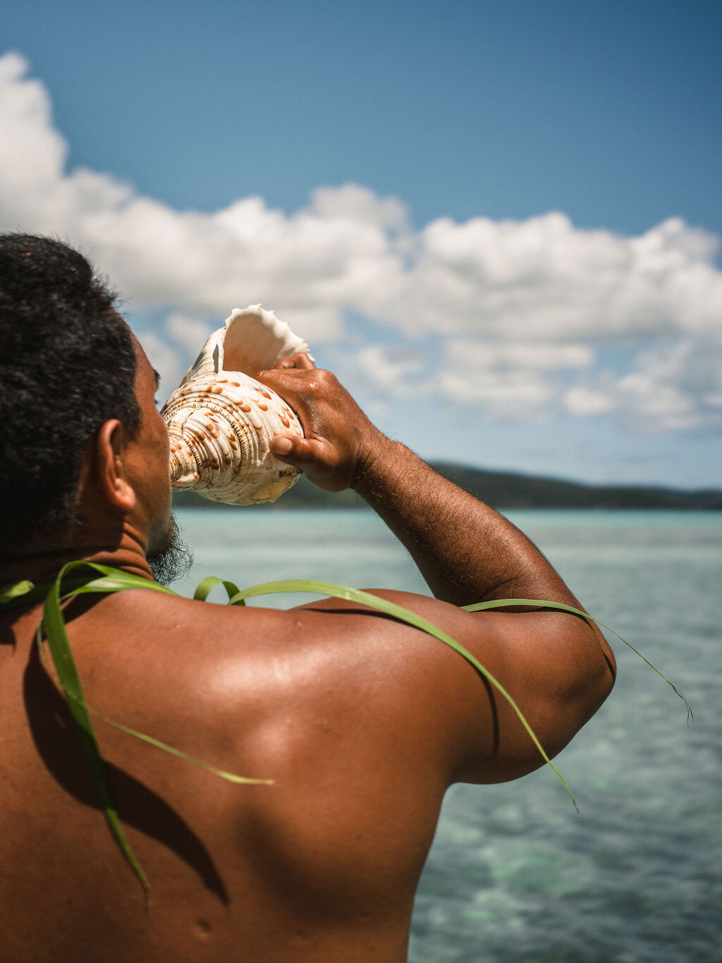 Vahine Private Island