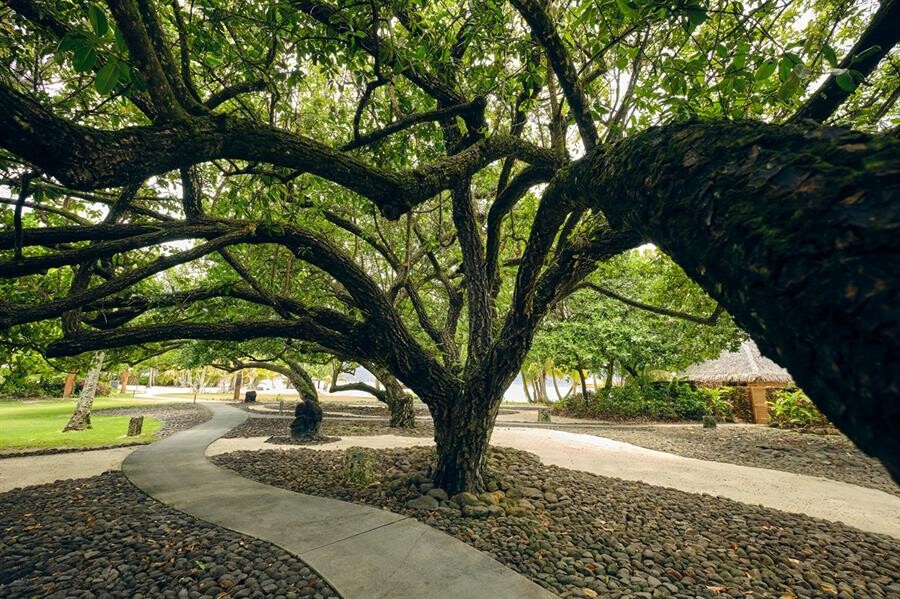 Le Taha’a by Pearl Resorts