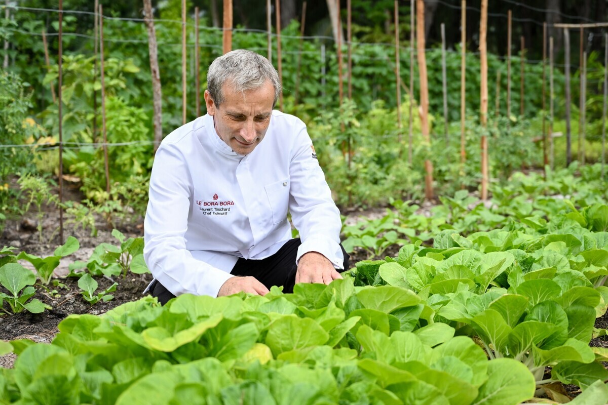 Pearl Resorts of Tahiti