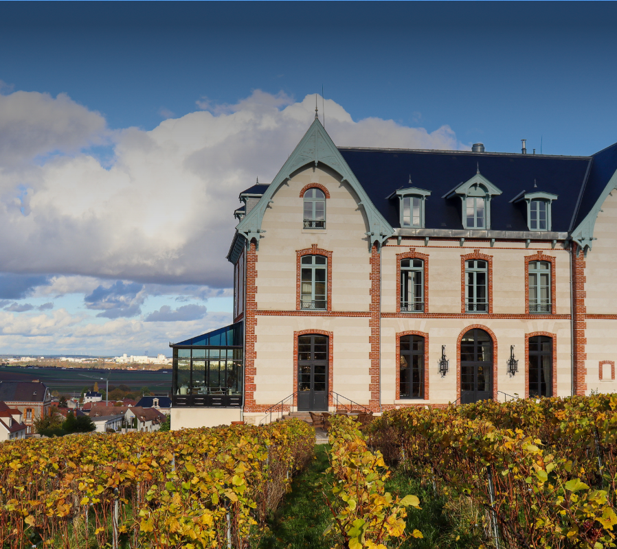 millesime-collection-chateau-de-sacy-2