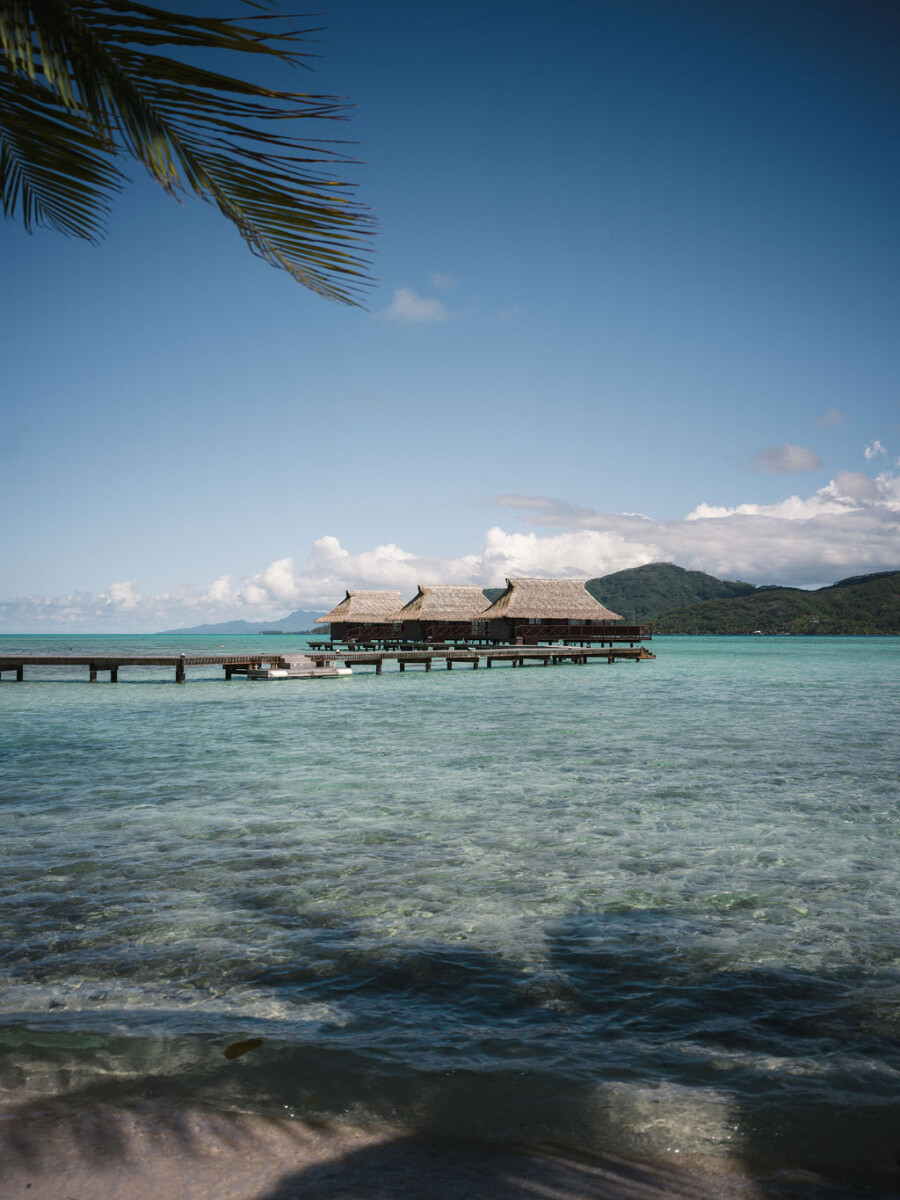 vahine-private-island-696938a83bdb3
