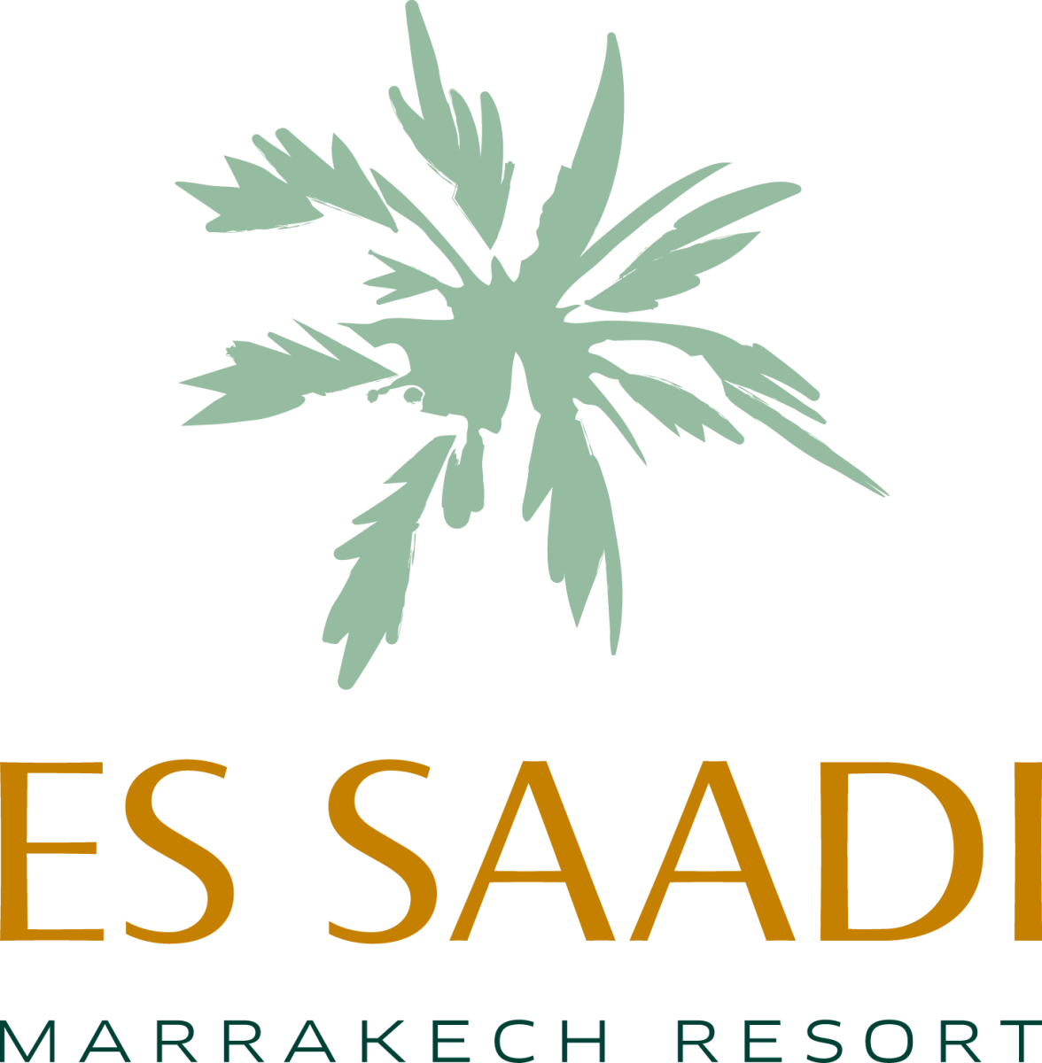 Es Saadi Palace