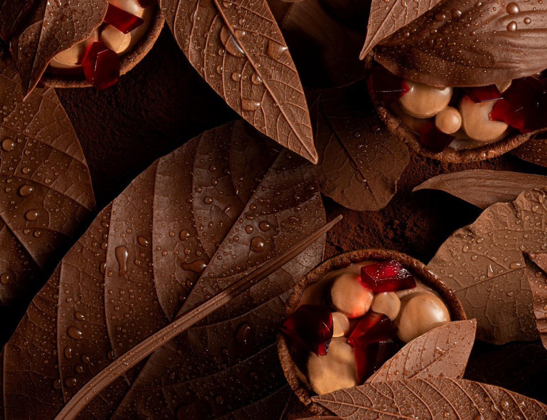 news-main-b-the-change-valrhona-publie-un-guide-de-la-gastronomie-sucree-durable.1640187262.jpg