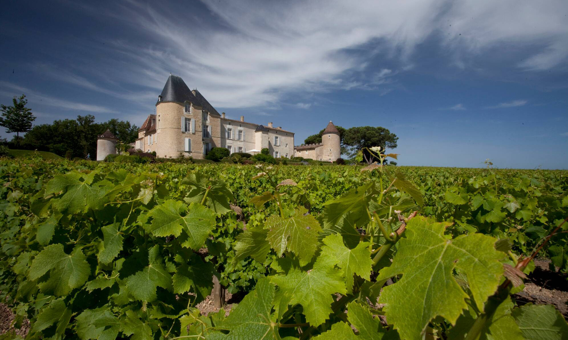 news-main-chateau-dyquem-ecrit-un-nouveau-chapitre-de-son-histoire-ancestrale-avec-le-millesime-2019.1644251181.jpg