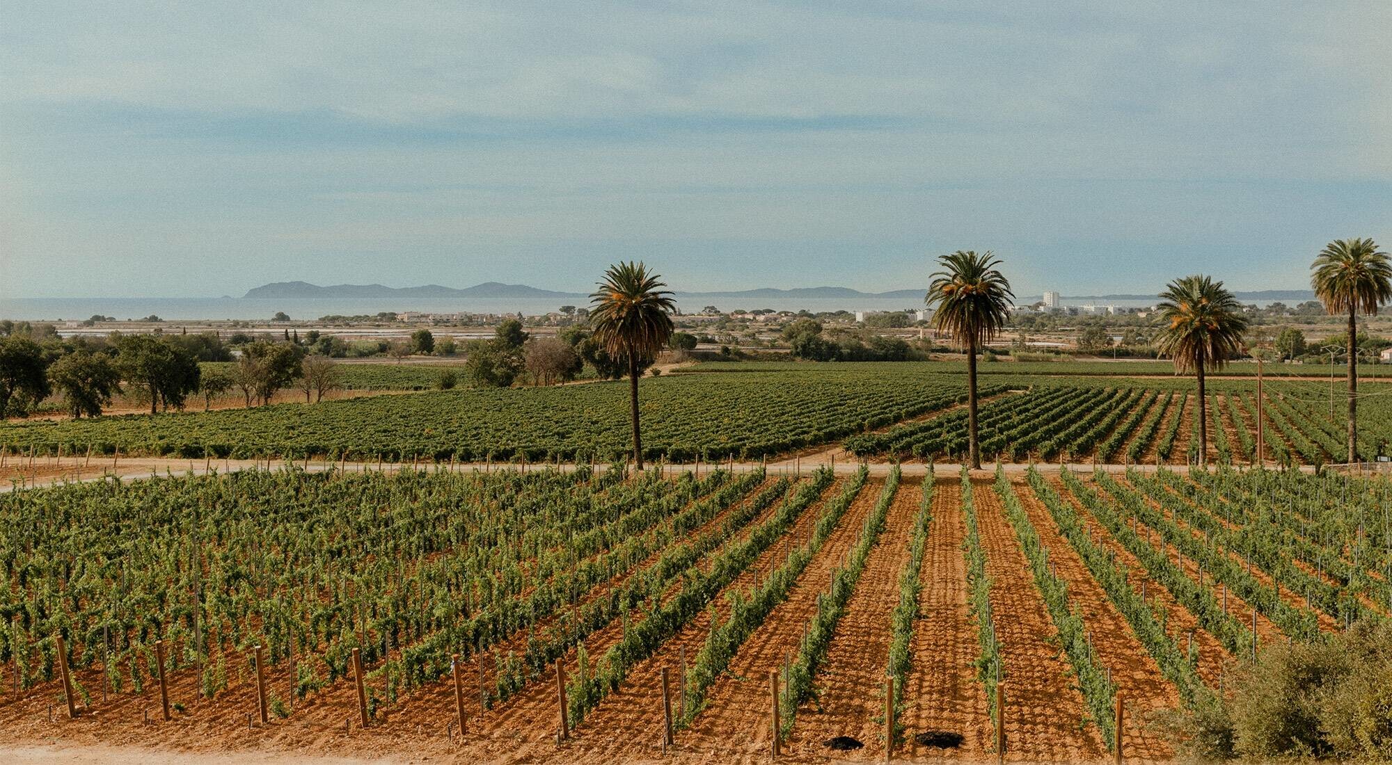 news-main-chateau-galoupet-reprend-vie-et-devoile-deux-nouveaux-vins-roses-dexception.1651243235.jpg