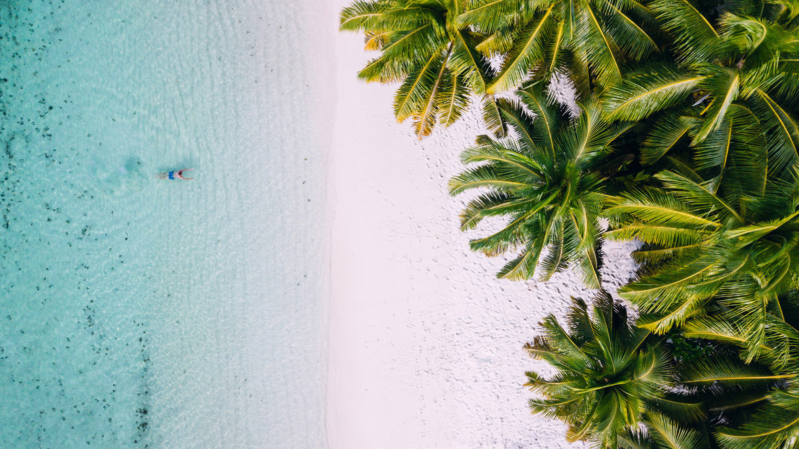 news-main-four-seasons-resorts-seychelles-bring-paradise-home.1588501408.jpg