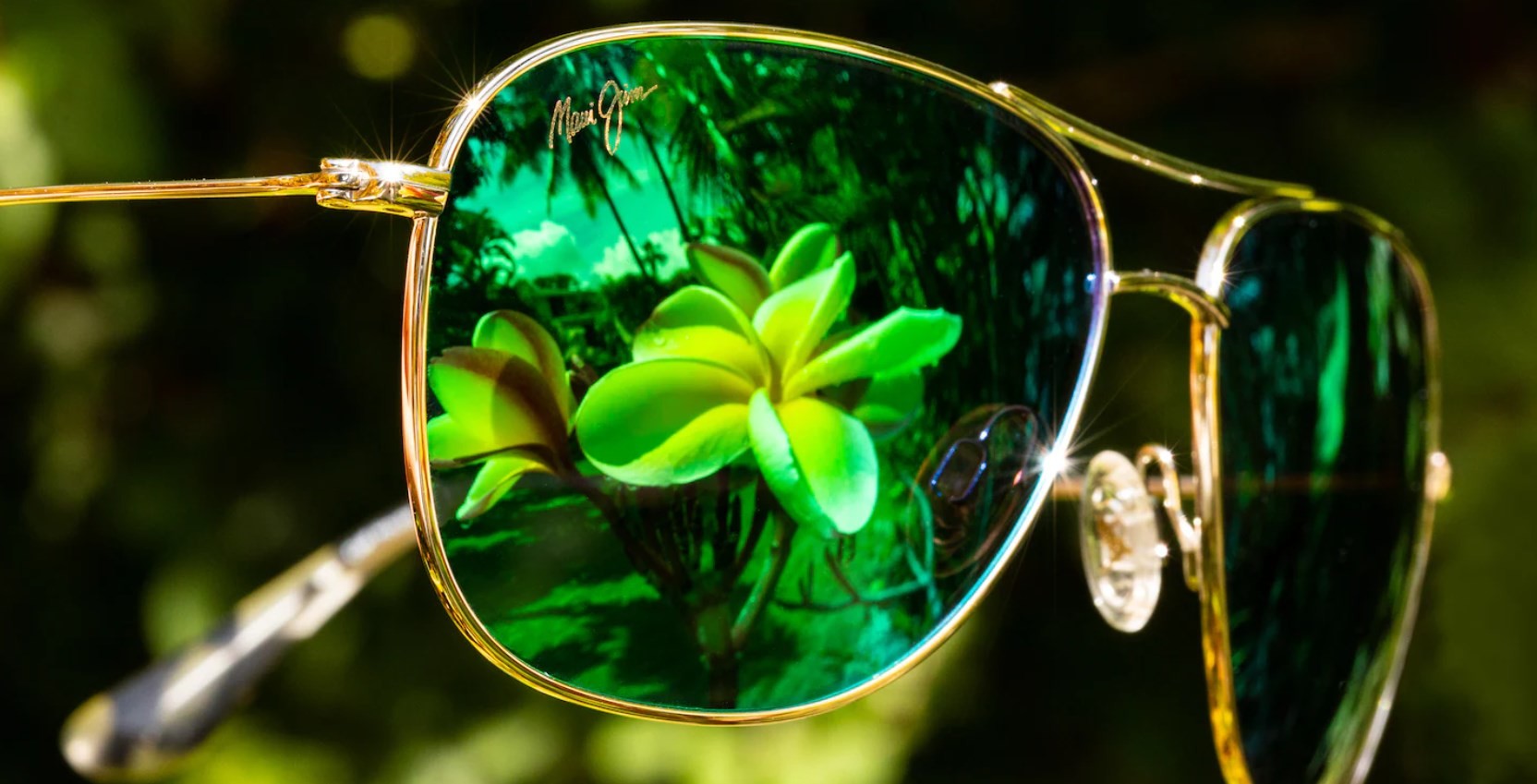 news-main-kering-eyewear-finalise-lacquisition-de-maui-jim.1665244253.jpg