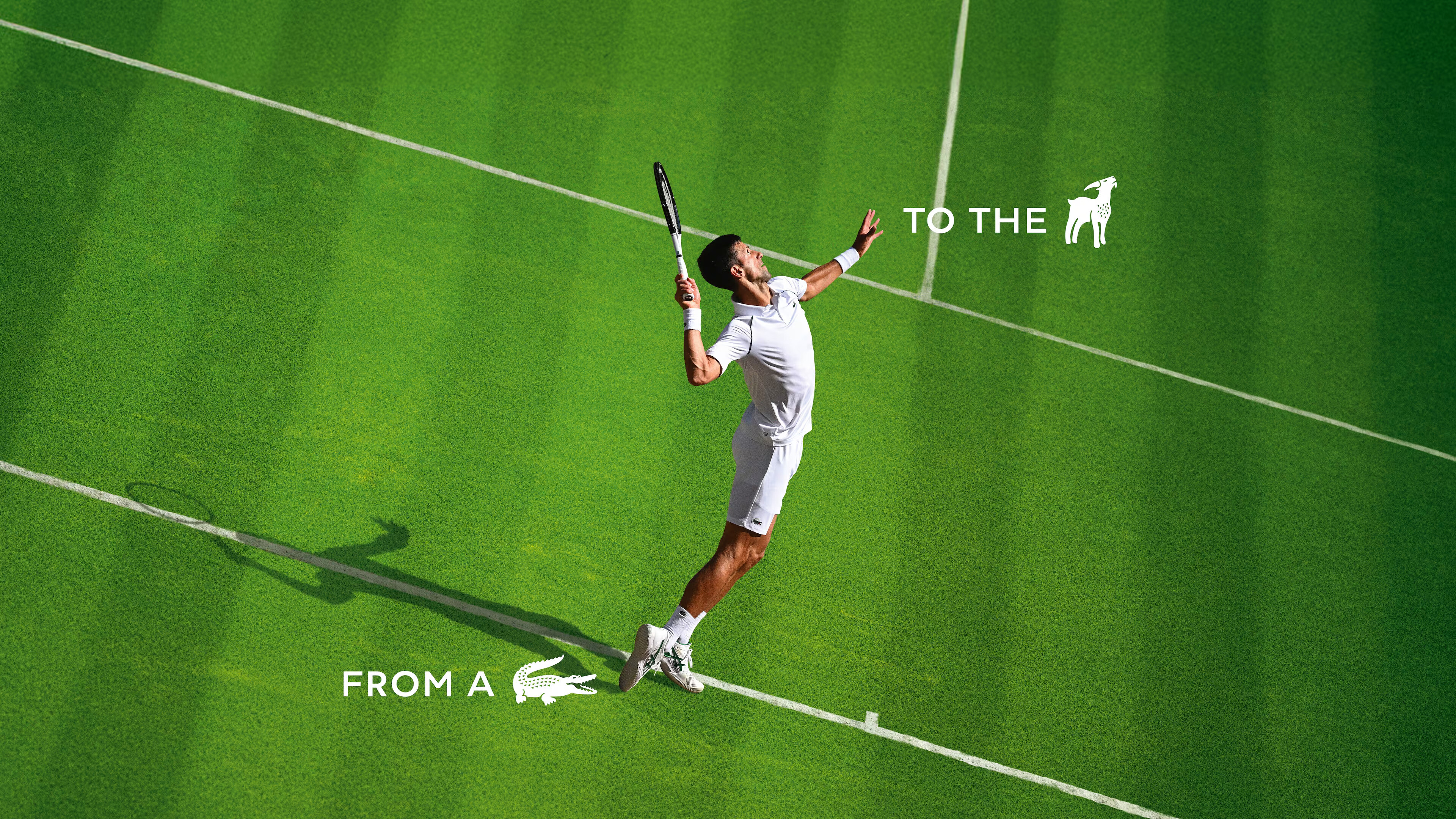 news-main-la-transformation-du-crocodile-lacoste-en-goat-pour-celebrer-novak-djokovic.1756477224.jpeg