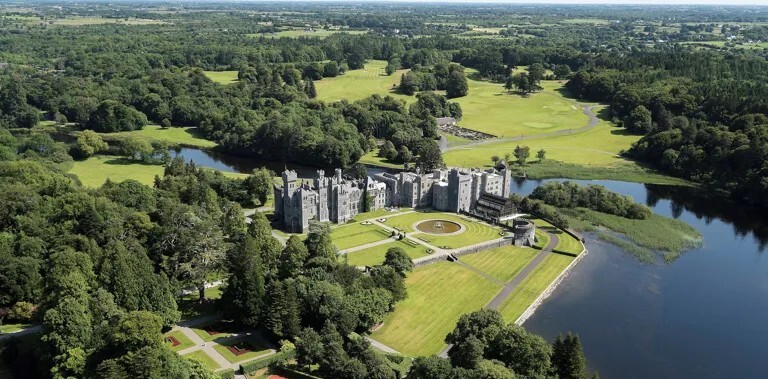 Public Area/Back of House Attendant (W/M)