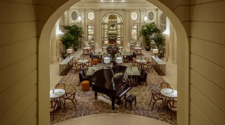 Serveur Palm Court (H/F)