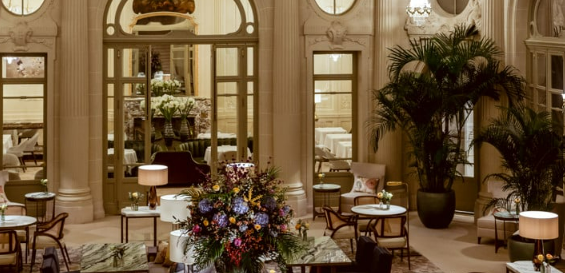 Waiter Palm Court (W/M)